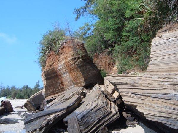 核磁揭示動態(tài)自滲過程