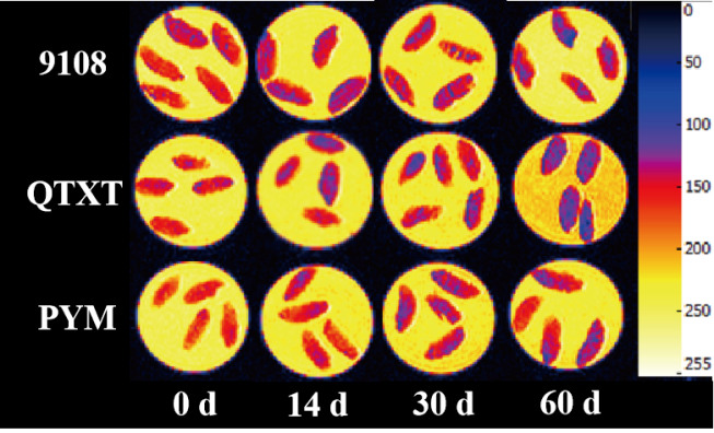 “紐邁杯”江南大學(xué)優(yōu)秀案例解析|不同冷凍儲(chǔ)藏期速凍米飯水分分布變化規(guī)律探究
